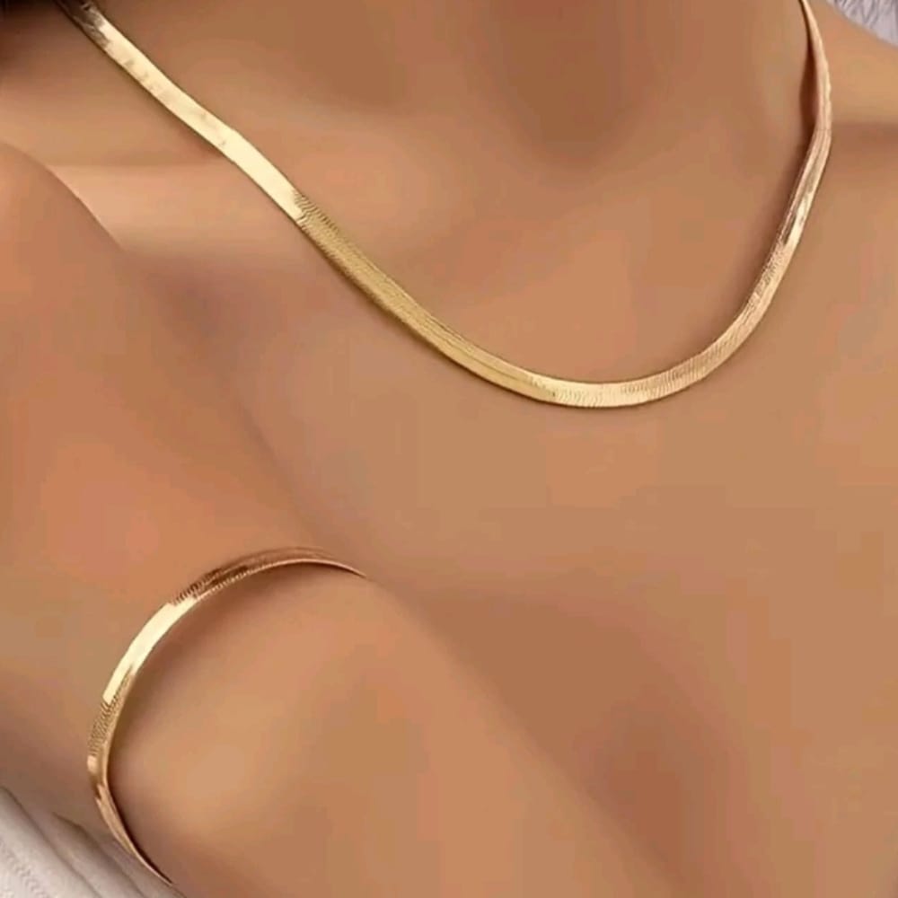 Snake Chain Necklace & Bracelet